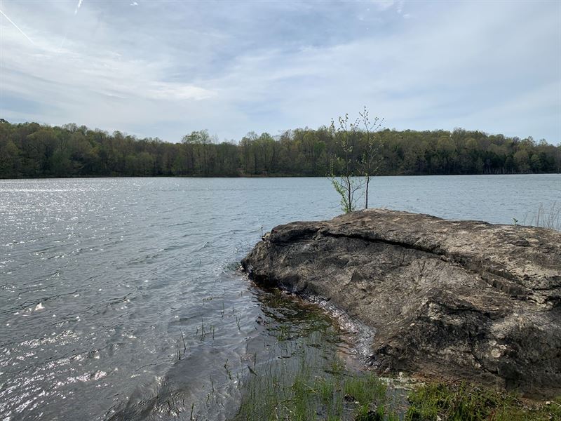 Arkansas Lakefront Land, Ranch : Warm Springs : Randolph County : Arkansas