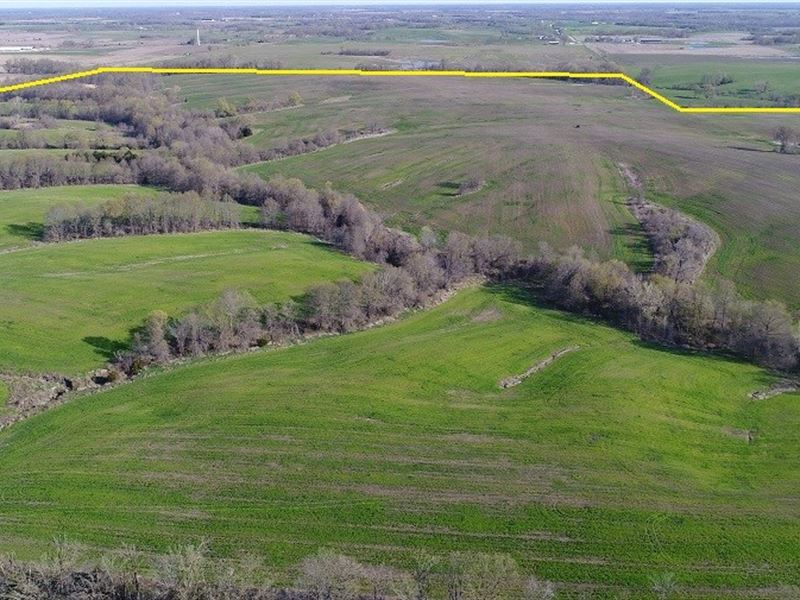 Missouri Row Crop Farm Hunting : Baring : Knox County : Missouri