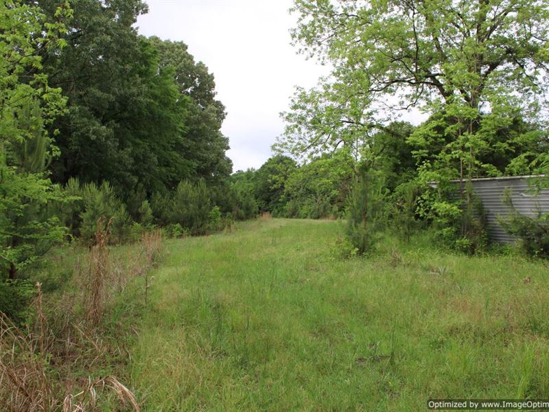 Beautiful Mature Hardwood : Crystal Springs : Copiah County : Mississippi