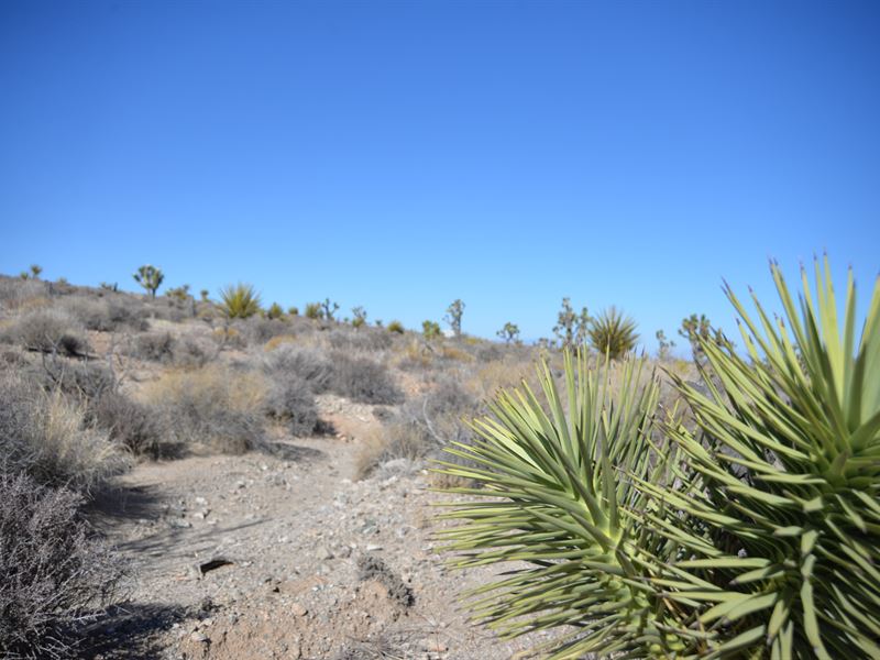 Stunning 1.25 Acre Gem $99/Mo : Meadview : Mohave County : Arizona
