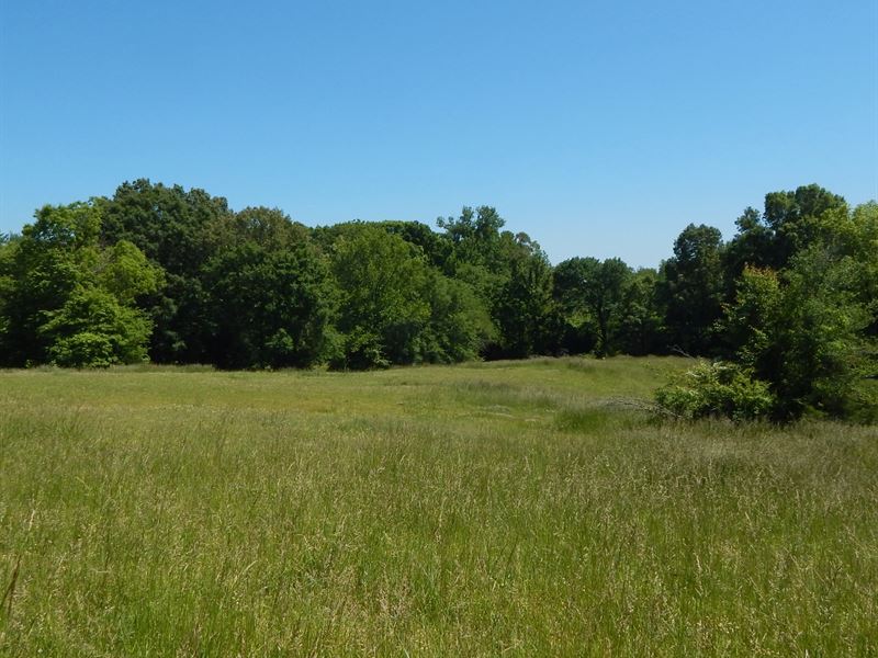 Arkabutla Lake Area in 6 Tracts : Coldwater : Tate County : Mississippi