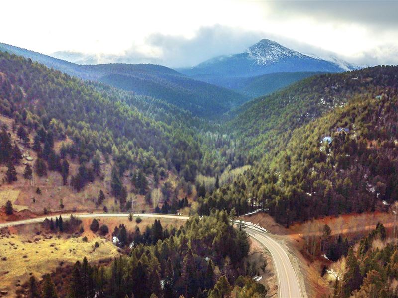 Wooded Lot, Power Near Ntnl Forest : Divide : Teller County : Colorado
