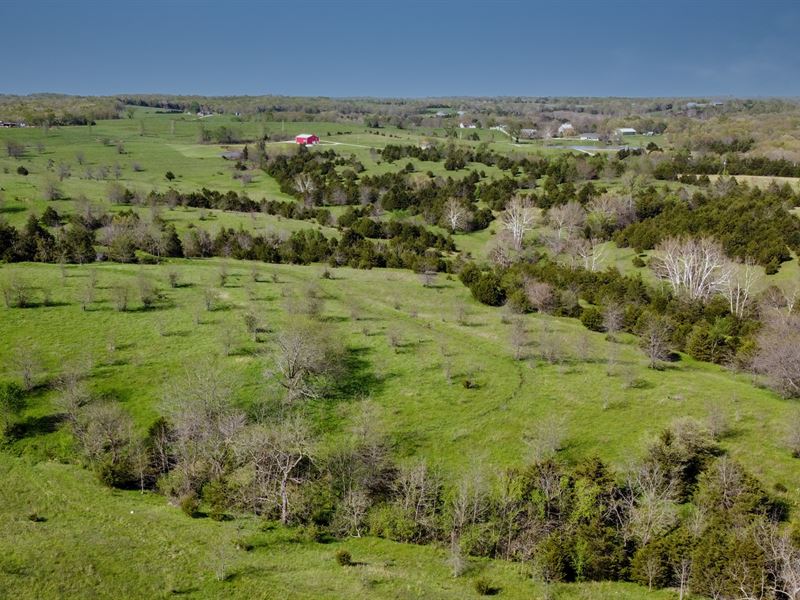 Moniteau County MO Pasture/Grass : California : Moniteau County : Missouri