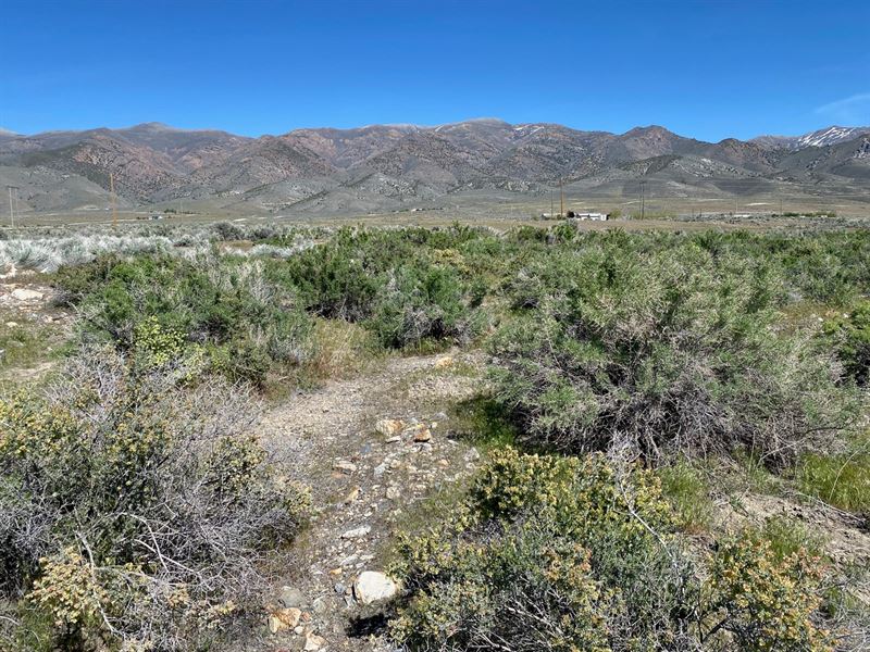 Residential Lot Rye Patch State : Lovelock : Pershing County : Nevada