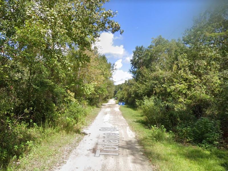 Lovely 0.27 Acres Homesite in FL : New Port Richey : Pasco County : Florida