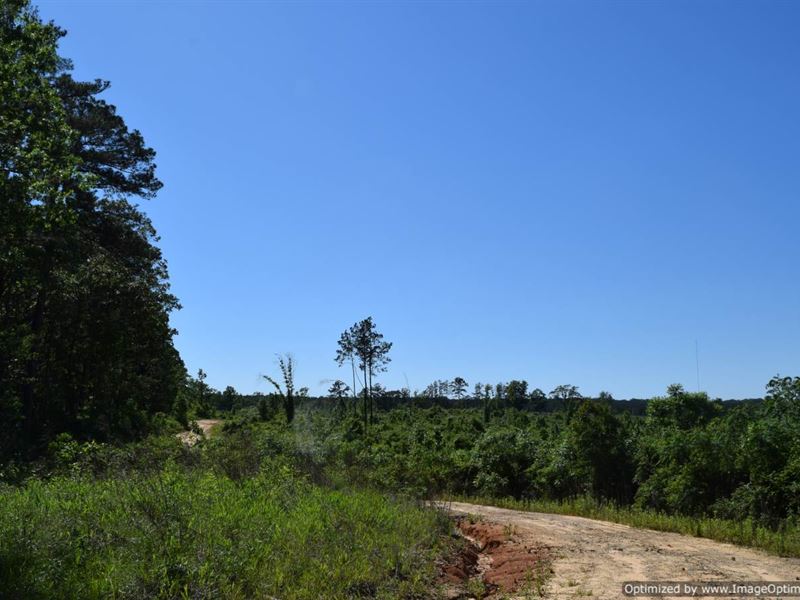Remote Gem in Scott County : Morton : Scott County : Mississippi