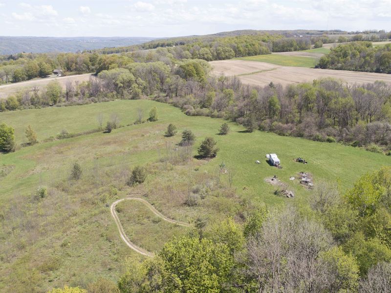 Large Wooded Foothills Building Lot : Onondaga : Onondaga County : New York