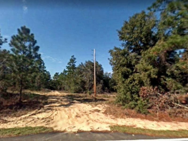 Lot for Sale in Putnam County : Hawthorne : Putnam County : Florida