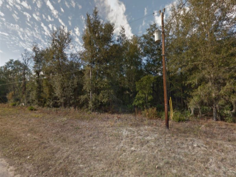 Property for Sale in Interlachen FL : Interlachen : Putnam County : Florida