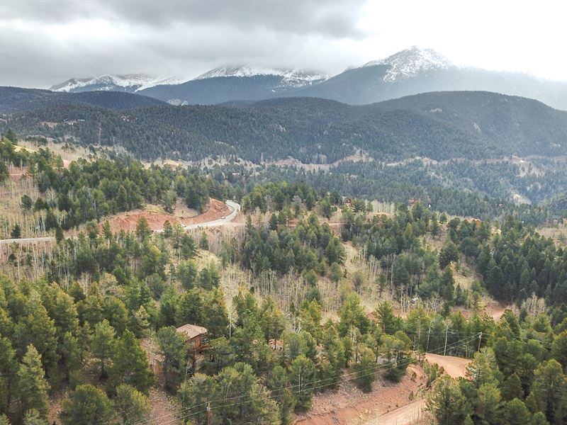 Wooded Lot Near National Forest : Divide : Teller County : Colorado