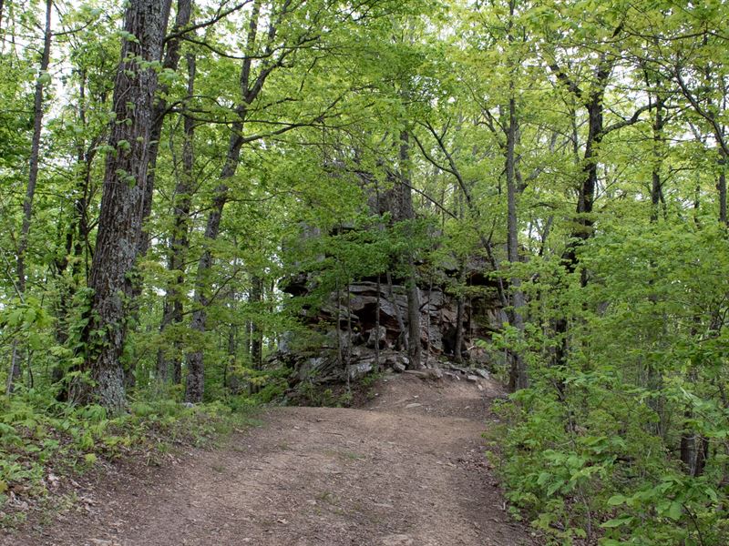 Buffalo Tract : Huntsville : Scott County : Tennessee
