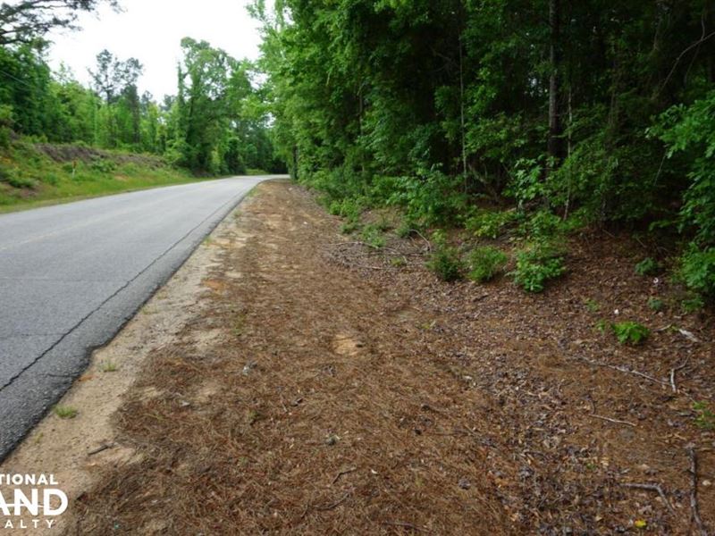 Sylvan Loop Road Homesite, Timber : Fosters : Tuscaloosa County : Alabama