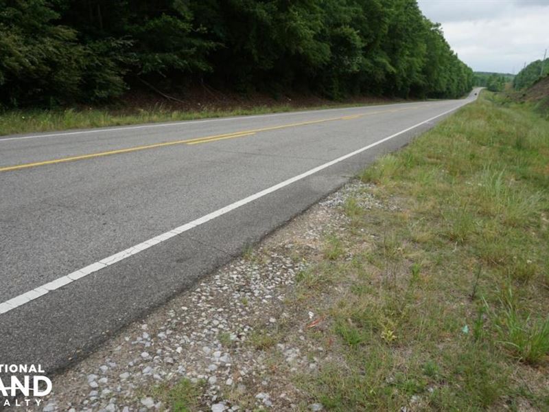 Fosters Homesite, Timber, Hunting : Fosters : Tuscaloosa County : Alabama