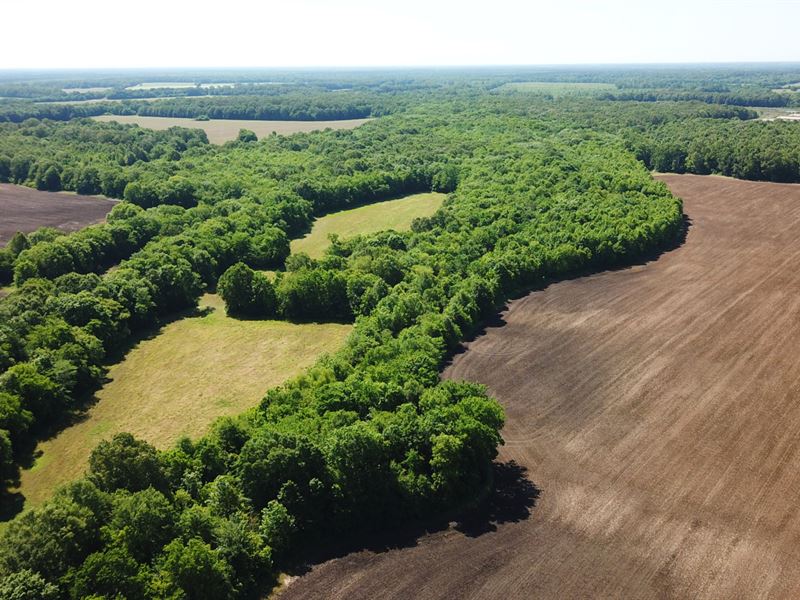 Blackbelt Farm : Sugarville : Perry County : Alabama