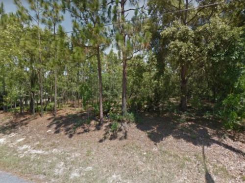 Lot for Sale in Homosassa, FL : Homosassa : Citrus County : Florida