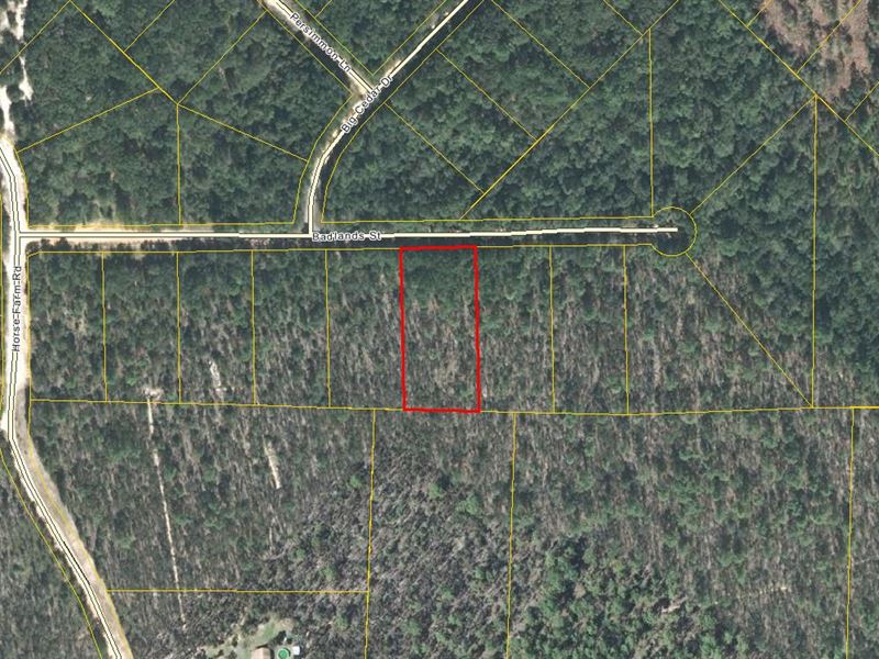 Compass Lakes Retreat Homesite : Marianna : Jackson County : Florida