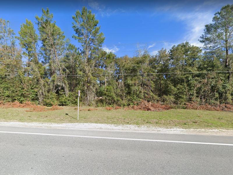 Putnam Lot for Sale, Land for Sale by Owner in Florida, 278459 LANDFLIP