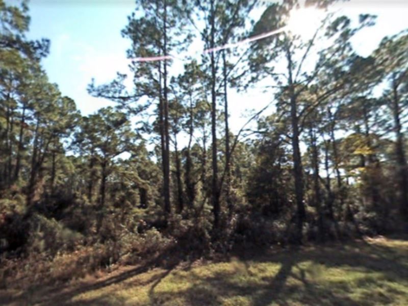 Acres for Sale in Putnam County, FL : Georgetown : Putnam County : Florida