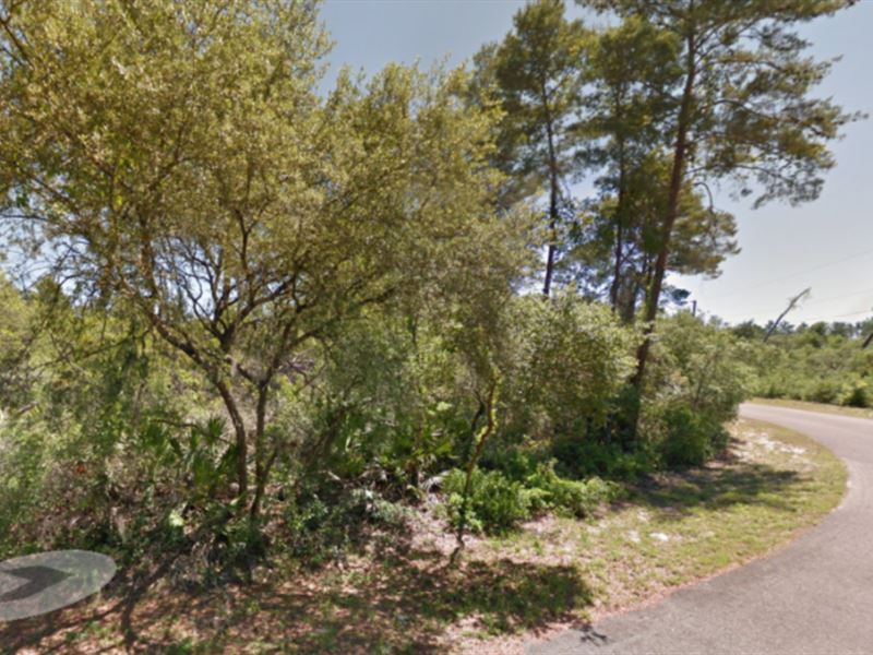 Lot for Sale in Marion County, FL : Dunnellon : Putnam County : Florida