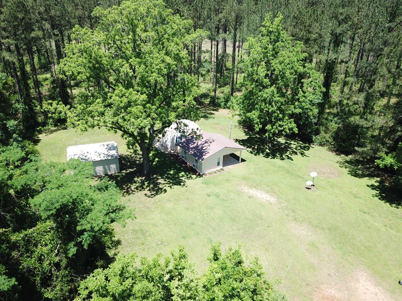 27 Ac, Covington County, 34777 T : Red Level : Covington County : Alabama