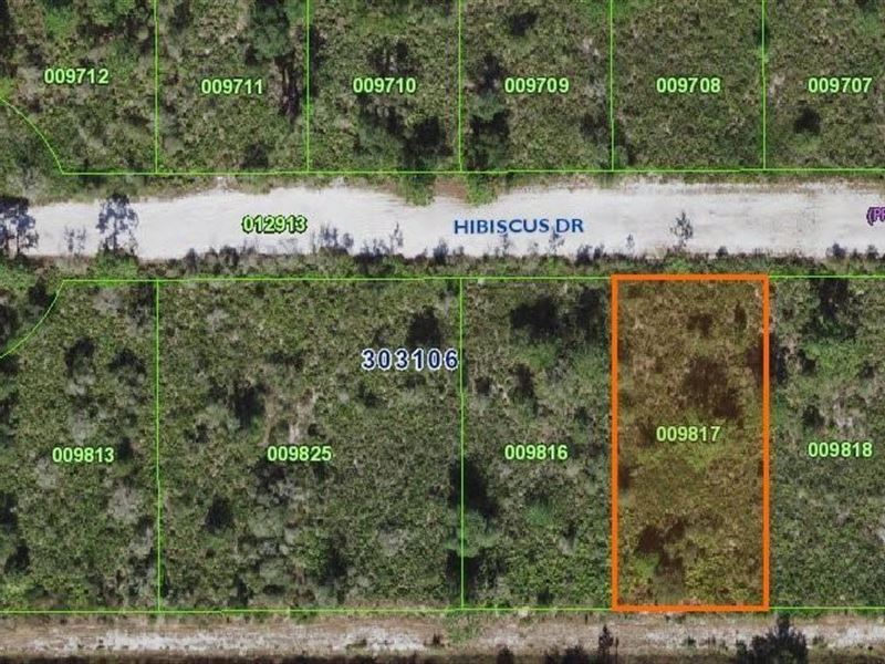 .50 Acre Lot, Vacant Land, Central : Indian Lake Estates : Polk County : Florida