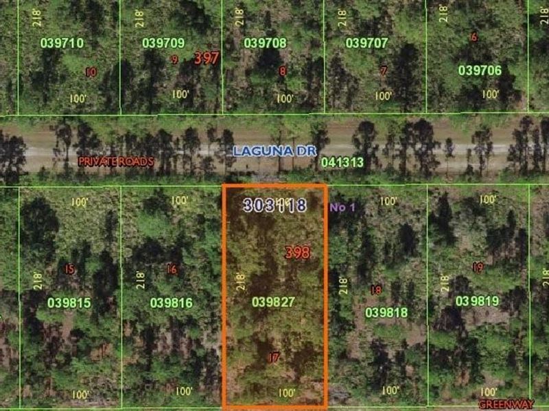 .50 Acre Lot, Vacant Land, Central : Indian Lake Estates : Polk County : Florida