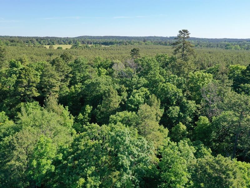 4 Acre Tract in Elkhart Texas : Elkhart : Anderson County : Texas