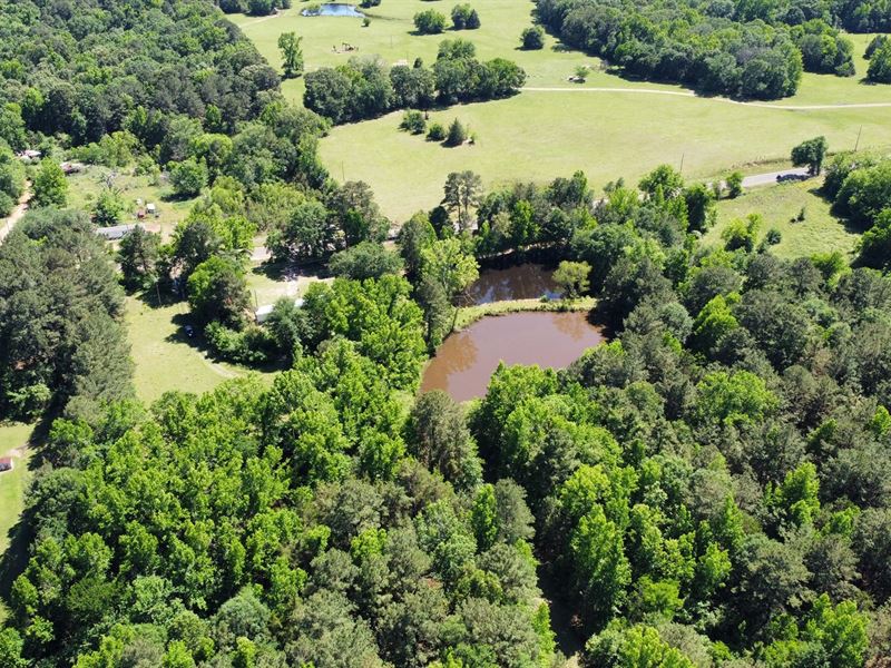 Wooded Hunting Land Kilgore East TX : Kilgore : Gregg County : Texas