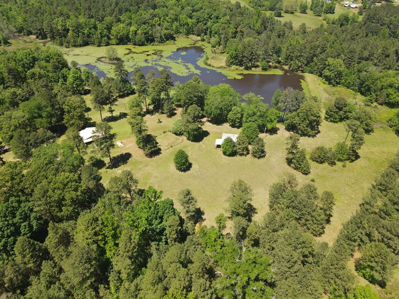 East Texas Ranch Lake Hunting : Linden : Cass County : Texas