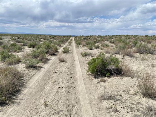 640 Acres in Churchill County : Fallon : Churchill County : Nevada