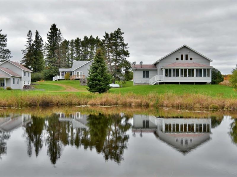 Country Estate Sitting 160 Acres : Mason : Bayfield County : Wisconsin