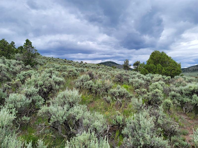 Picture Perfect Views & Hwy Access : Fort Garland : Costilla County : Colorado