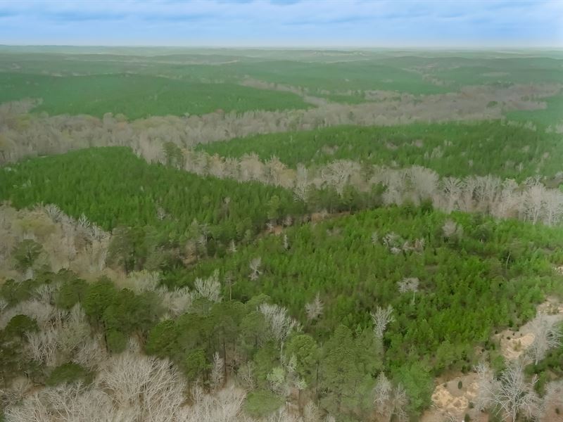 Horse Creek Tract : Winnsboro Mills : Fairfield County : South Carolina