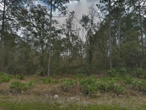 .34 Ac for Sale in Florahome, FL : Florahome : Putnam County : Florida