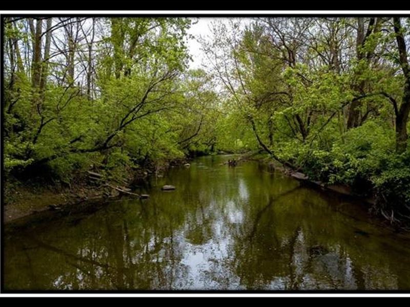 Whetstone Creek : Cardington : Morrow County : Ohio