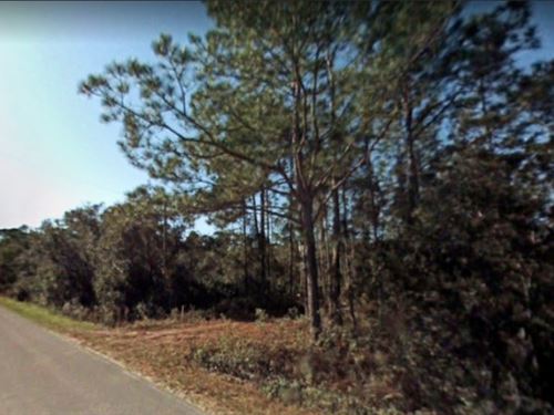Acres for Sale in Crescent City, FL : Crescent City : Putnam County : Florida