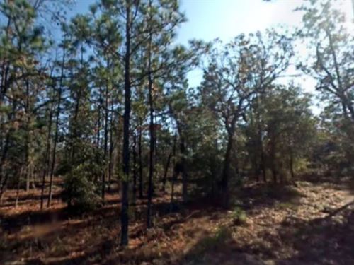 Nice Lot in Hawthorne FL : Hawthorne : Putnam County : Florida