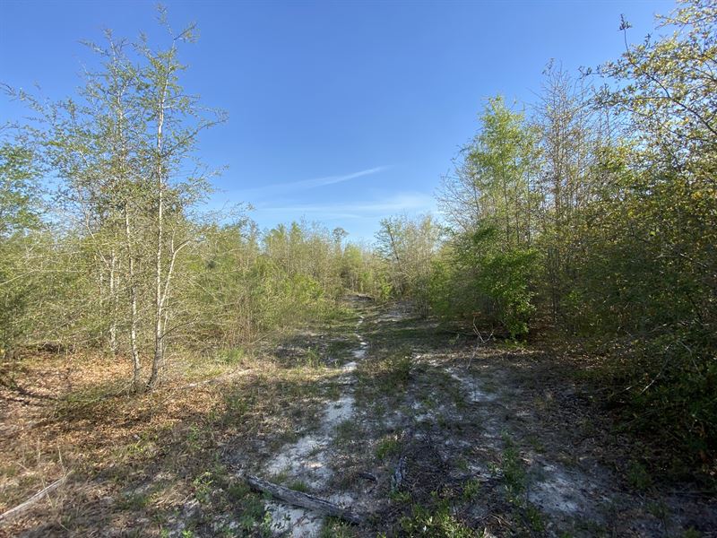 Coffee County, Boggy Hollow : Enterprise : Coffee County : Alabama