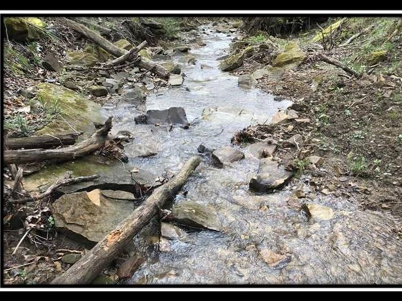 The Woods at Pike Forest, Tract 2 : Bainbridge : Pike County : Ohio