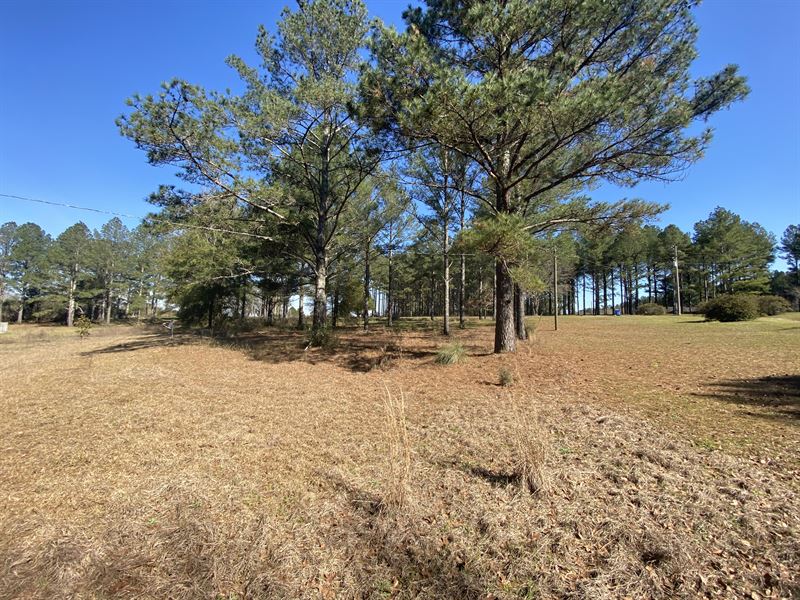 Quiet Coffee County Homesite Land for Sale in Elba, Coffee County