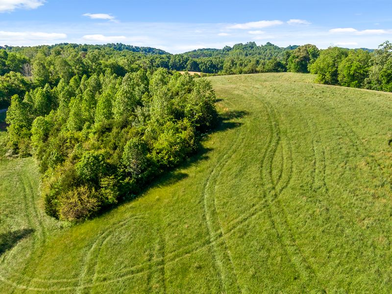 Build in Sweetwater, TN : Sweetwater : Monroe County : Tennessee