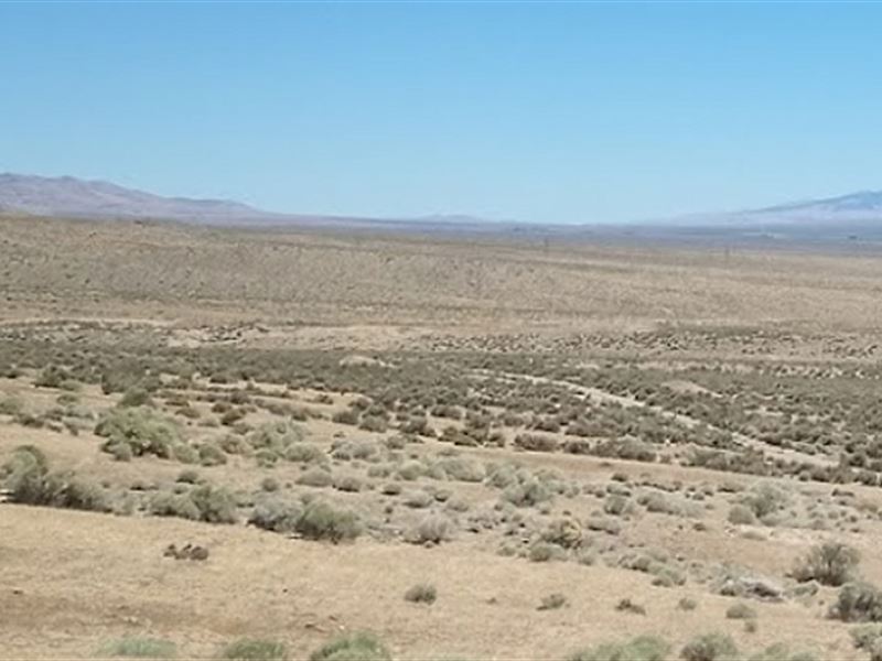 80 Acres of Land in Pershing County : Lovelock : Pershing County : Nevada