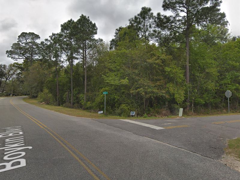 .90 Acres Off Perdido Bay : Lillian : Baldwin County : Alabama