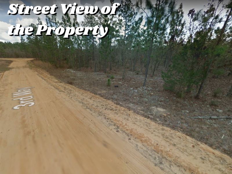 .29 Acre Private Lot : Interlachen : Putnam County : Florida