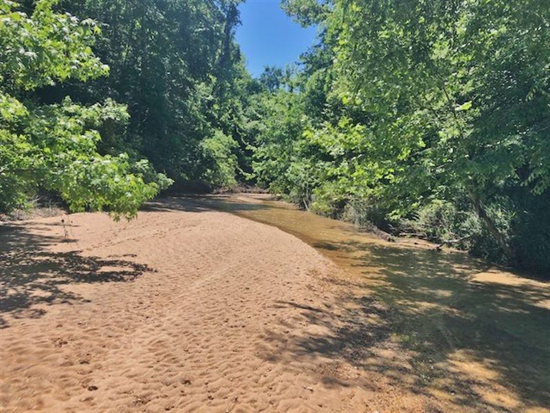 228 Acres Adams Co. Hunting Land : Natchez : Adams County : Mississippi