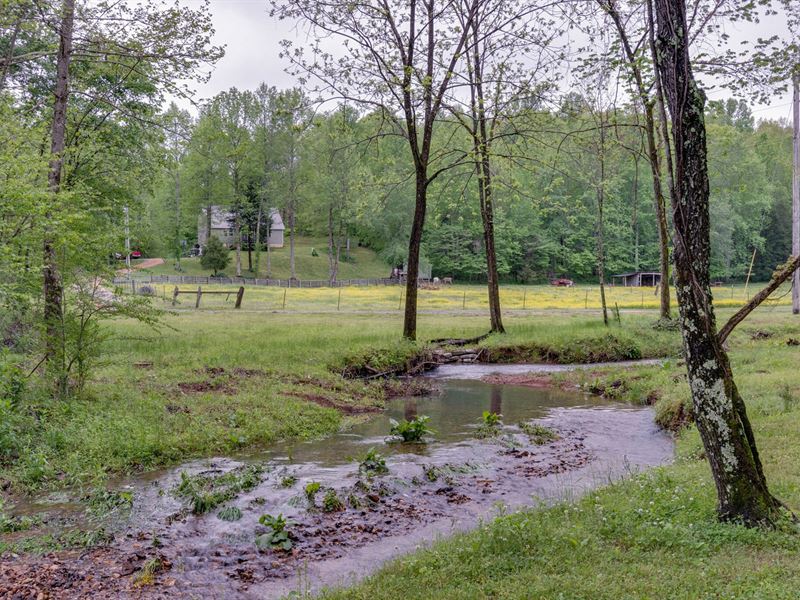 Country Home Acreage Hohenwald : Hohenwald : Lewis County : Tennessee