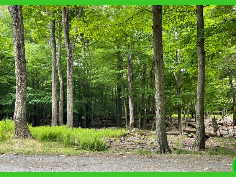 .39 Acres Lot in Wayne County, PA : Newfoundland : Wayne County : Pennsylvania