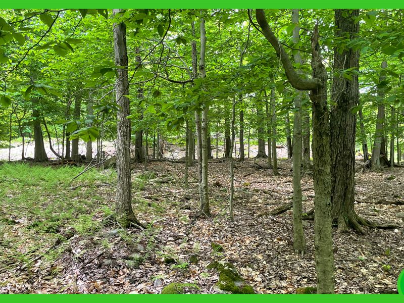 .403 Acres Lot in Wayne County, PA : Newfoundland : Wayne County : Pennsylvania