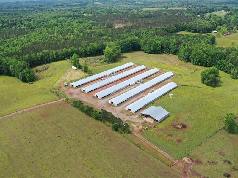 Clem Pullet Farm : Carrollton : Carroll County : Georgia