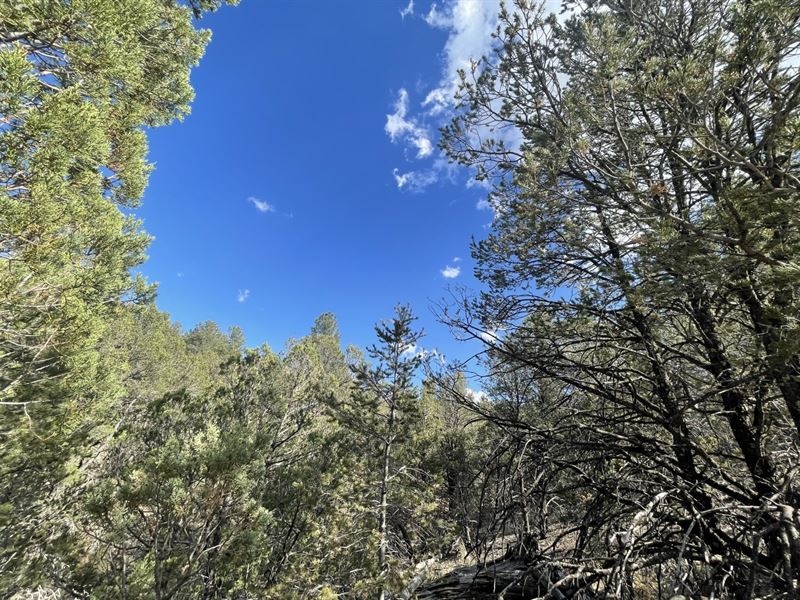 Build, Bring Your Rv & Relax : Timberon : Otero County : New Mexico
